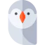 Owl ícone 64x64