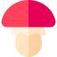 Mushroom icon 64x64