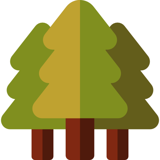 Pine tree icon