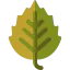 Birch ícono 64x64