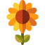 Sunflower ícono 64x64