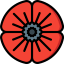 Poppy icon 64x64