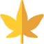 Maple ícono 64x64