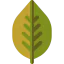 Momiji ícono 64x64