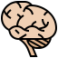 Brains icon 64x64