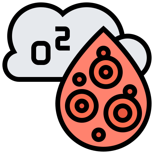 Oxygen icon