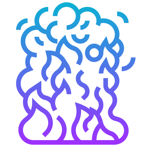 Fire icon