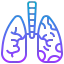 Lungs biểu tượng 64x64