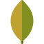 Ficus ícono 64x64