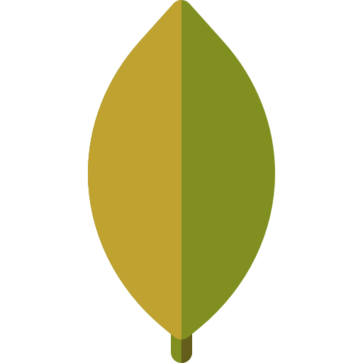 Ficus icon