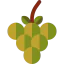 Grapes ícono 64x64