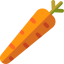 Carrot ícono 64x64