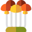 Enoki ícono 64x64
