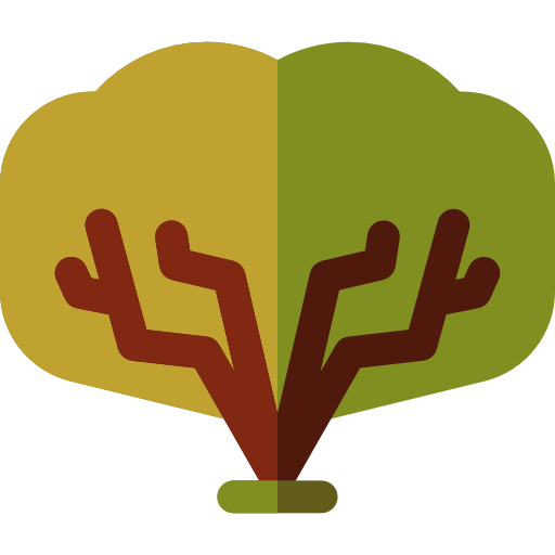 Tree 상