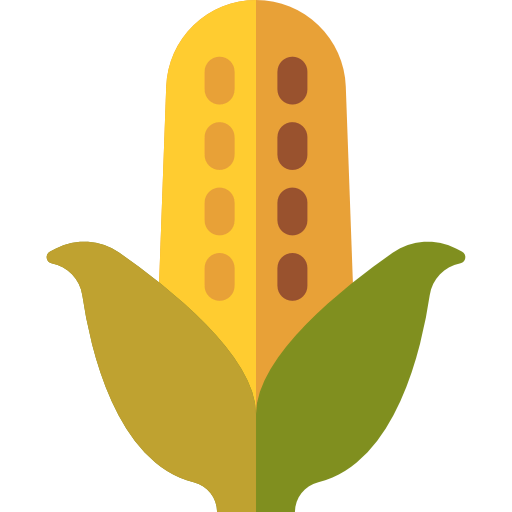 Corn icon