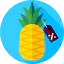 Pineapple 图标 64x64