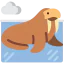 Walrus icon 64x64