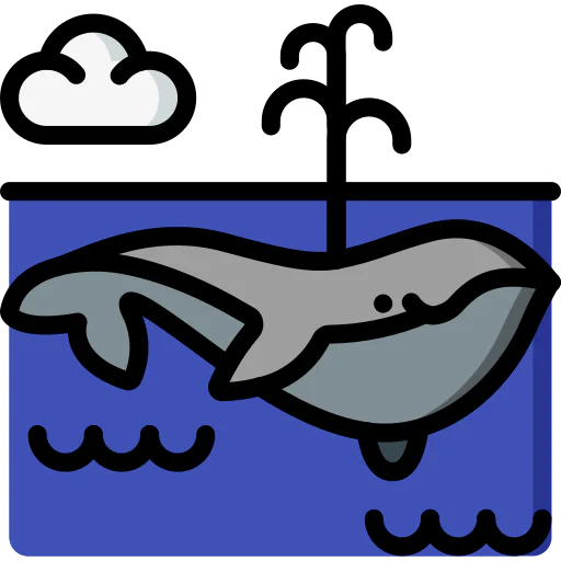 Blue whale Ikona