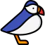 Puffin icon 64x64