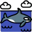 Orca icon 64x64