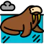Walrus icon 64x64