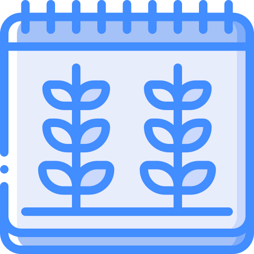 Date icon