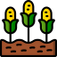 Corn іконка 64x64