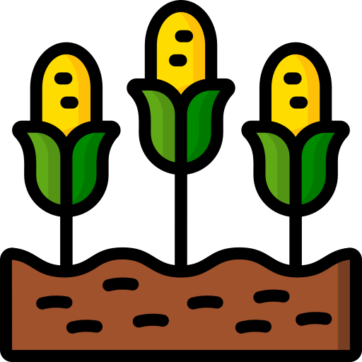 Corn icon