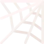 Spiderweb icône 64x64