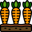 Carrots іконка 64x64