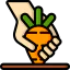 Carrots 图标 64x64