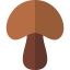 Mushrooms icon 64x64