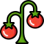 Tomato 图标 64x64