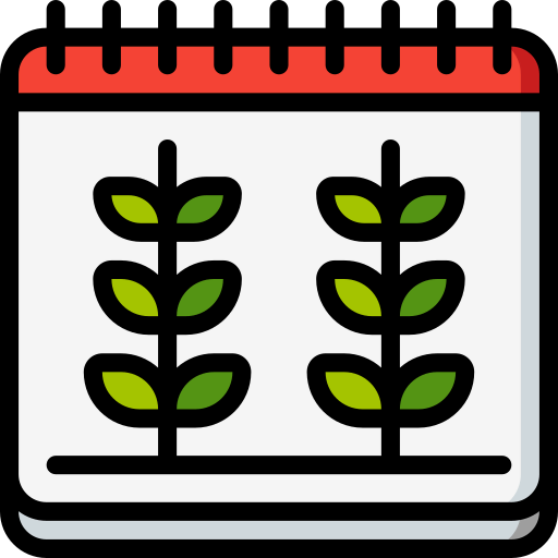 Date icon