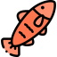 Salmon icon 64x64