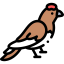 Willow ptarmigan biểu tượng 64x64