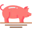 Pig biểu tượng 64x64