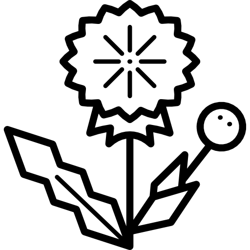 Dandelion icon
