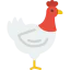 Chicken biểu tượng 64x64