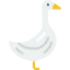 Goose biểu tượng 64x64