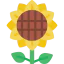 Sunflower 图标 64x64