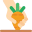 Carrots 图标 64x64