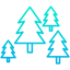 Forest 图标 64x64