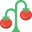 Tomato 图标 64x64