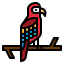 Macaw icône 64x64