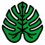 Monstera leaf icon 64x64