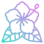 Гибискус иконка 64x64