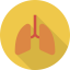 Lungs іконка 64x64