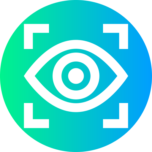 Vision icon