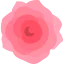 Rose icon 64x64
